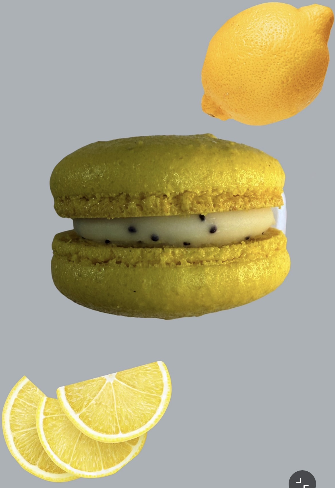 Macaron artisanal citron graine de pavot entouré de citrons frais, Mme Macarons Marseille