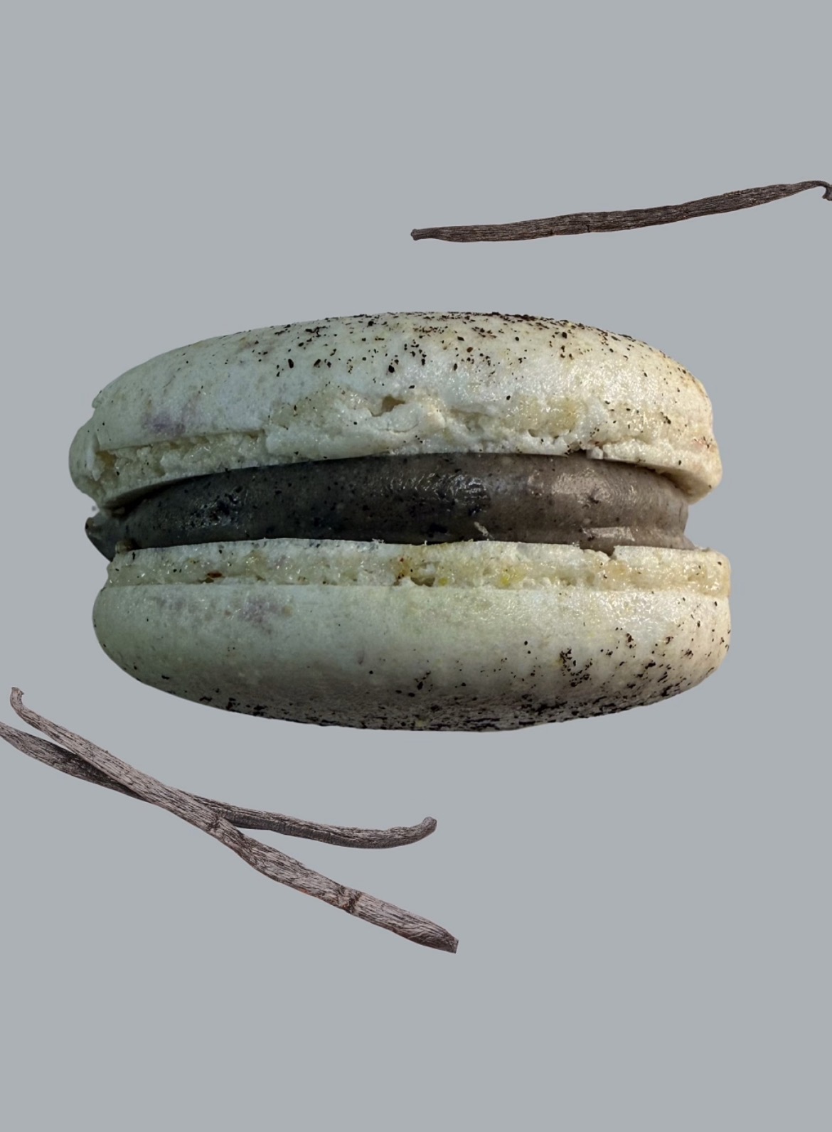 Macaron artisanal vanille intense garni d'une ganache vanillée, entouré de gousses de vanille, Mme Macarons Marseille